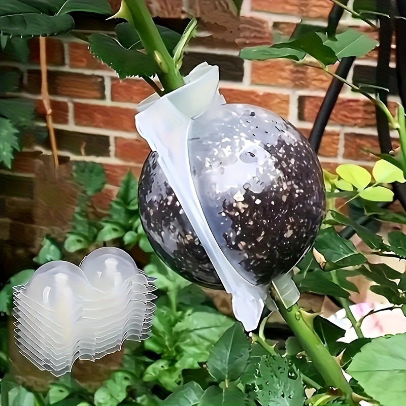 Plant Parents - 10 adet Bitki Çoğaltma Kutusu Seti,