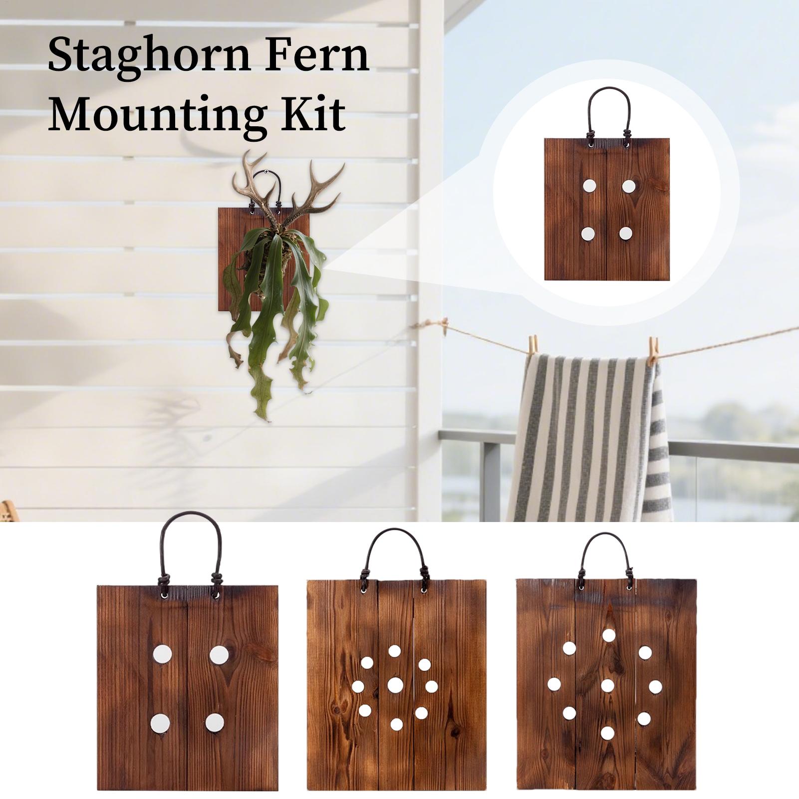 Plant Parents - Staghorn Fern Duvar Montaj Paneli Ahşap