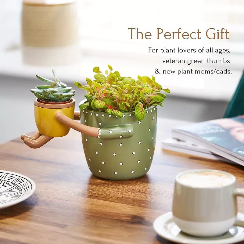 Reçine Ebeveyn-çocuk Saksısı D - Plant Parent Pot incelemesi ve fiyatı