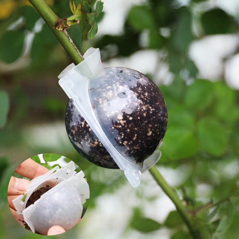 5/30 adet bitki köklendirme to - Plant Parents incelemesi ve fiyatı