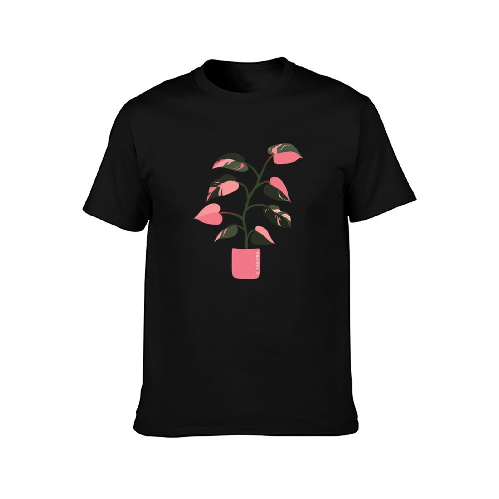 Filodendron Pembe Prenses Sana - Philodendron Pink Princess incelemesi ve fiyatı