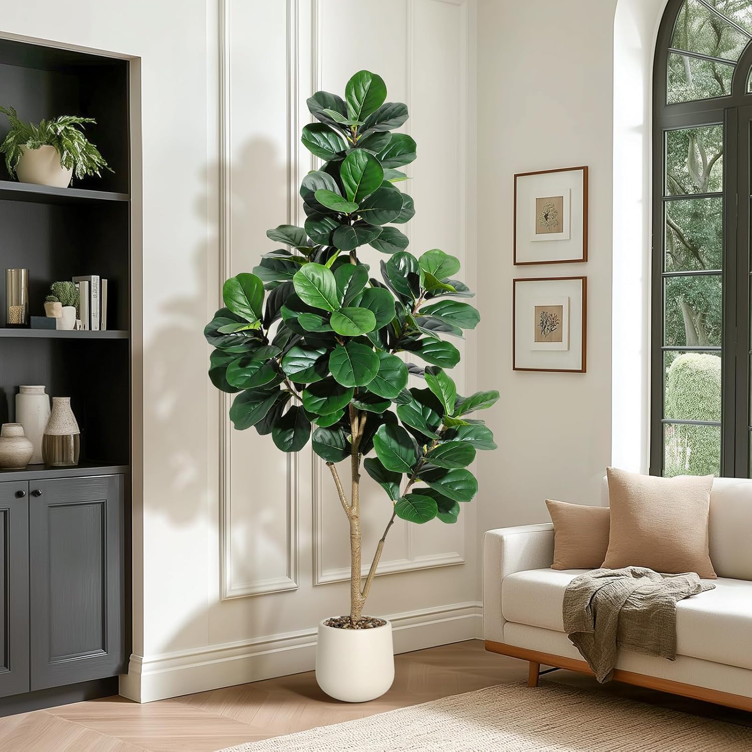 4-7 FT Fiddle Leaf Fig Ağacı Y - Plant Parents incelemesi ve fiyatı