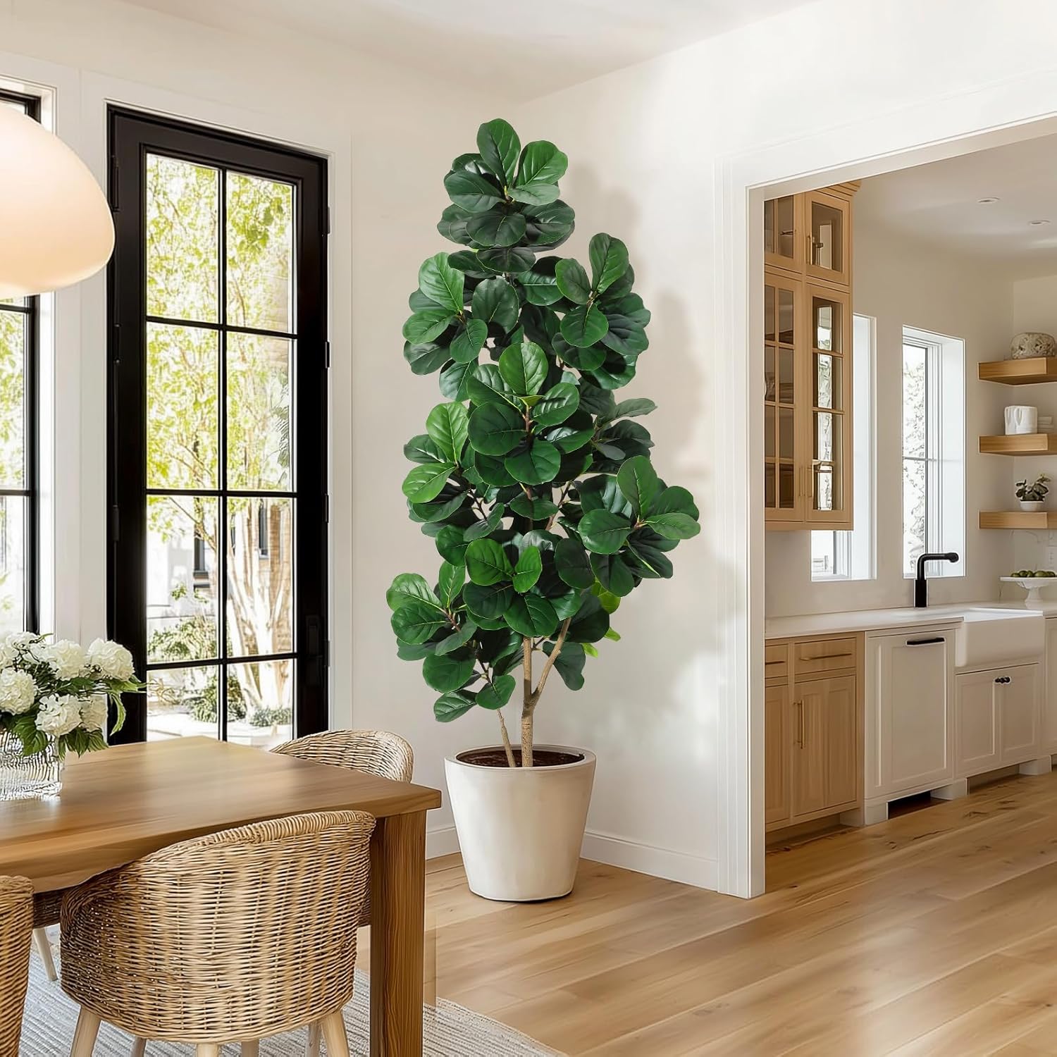 4-7 FT Fiddle Leaf Fig Ağacı Y - Plant Parents incelemesi ve fiyatı
