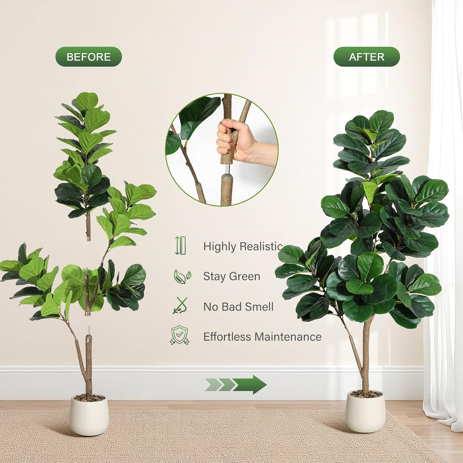4-7 FT Fiddle Leaf Fig Ağacı Y - Plant Parents incelemesi ve fiyatı