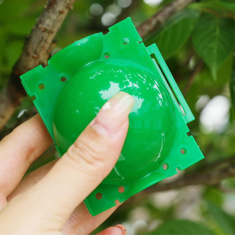Hava Katmanlı Podlar Bitki Kök - Plant Parents incelemesi ve fiyatı