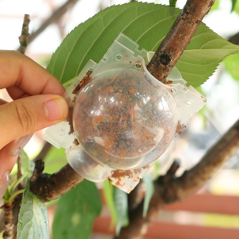 Hava Katmanlı Podlar Bitki Kök - Plant Parents incelemesi ve fiyatı