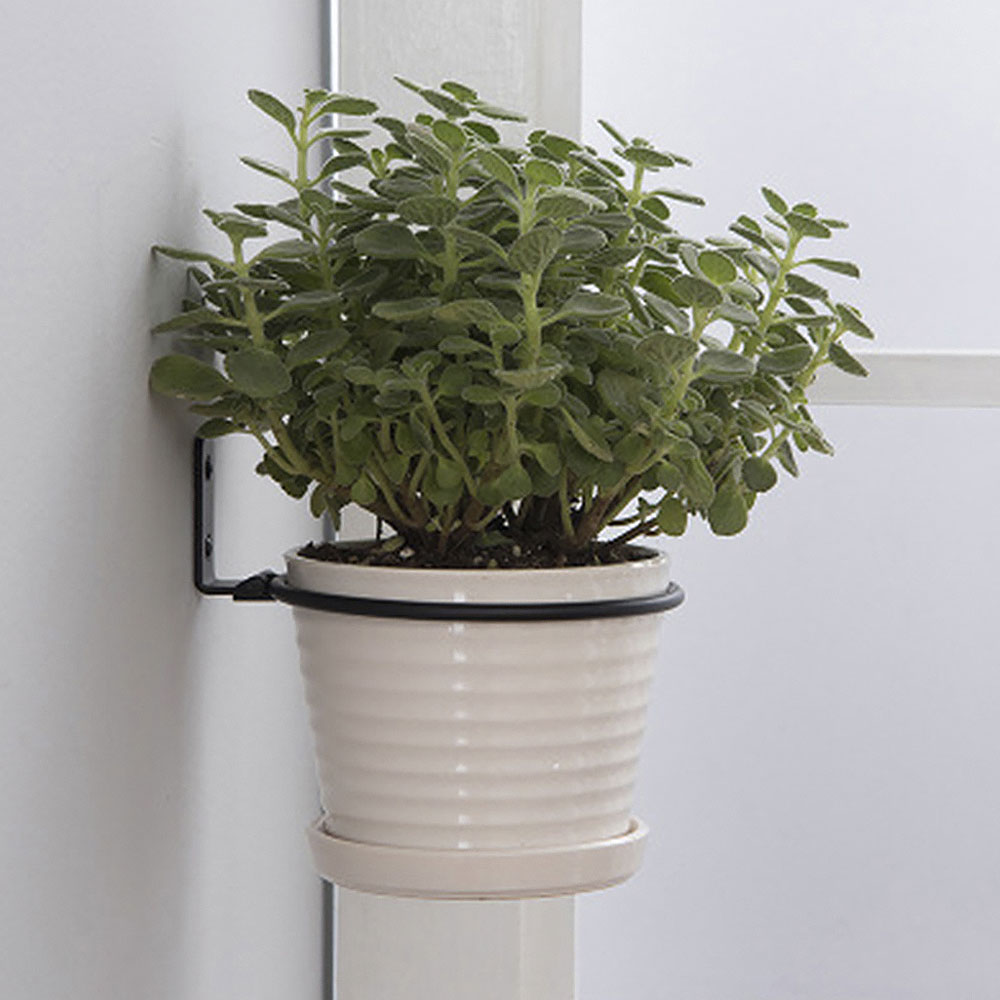 Saksı Tepsileri Duvara Monte P - Plant Parents incelemesi ve fiyatı