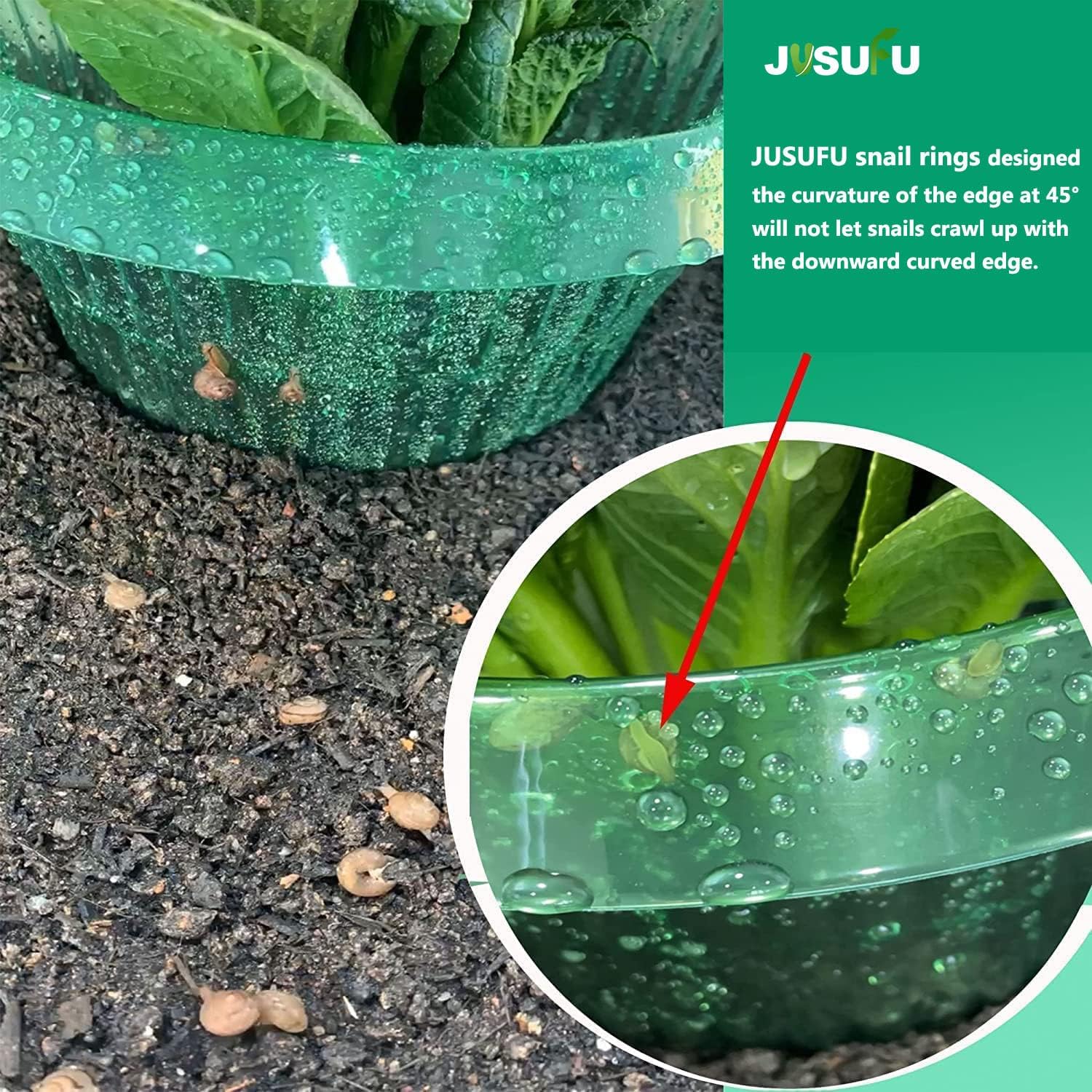 1/30 adet Bitkiler Sümüklüböce - Plant Parents incelemesi ve fiyatı