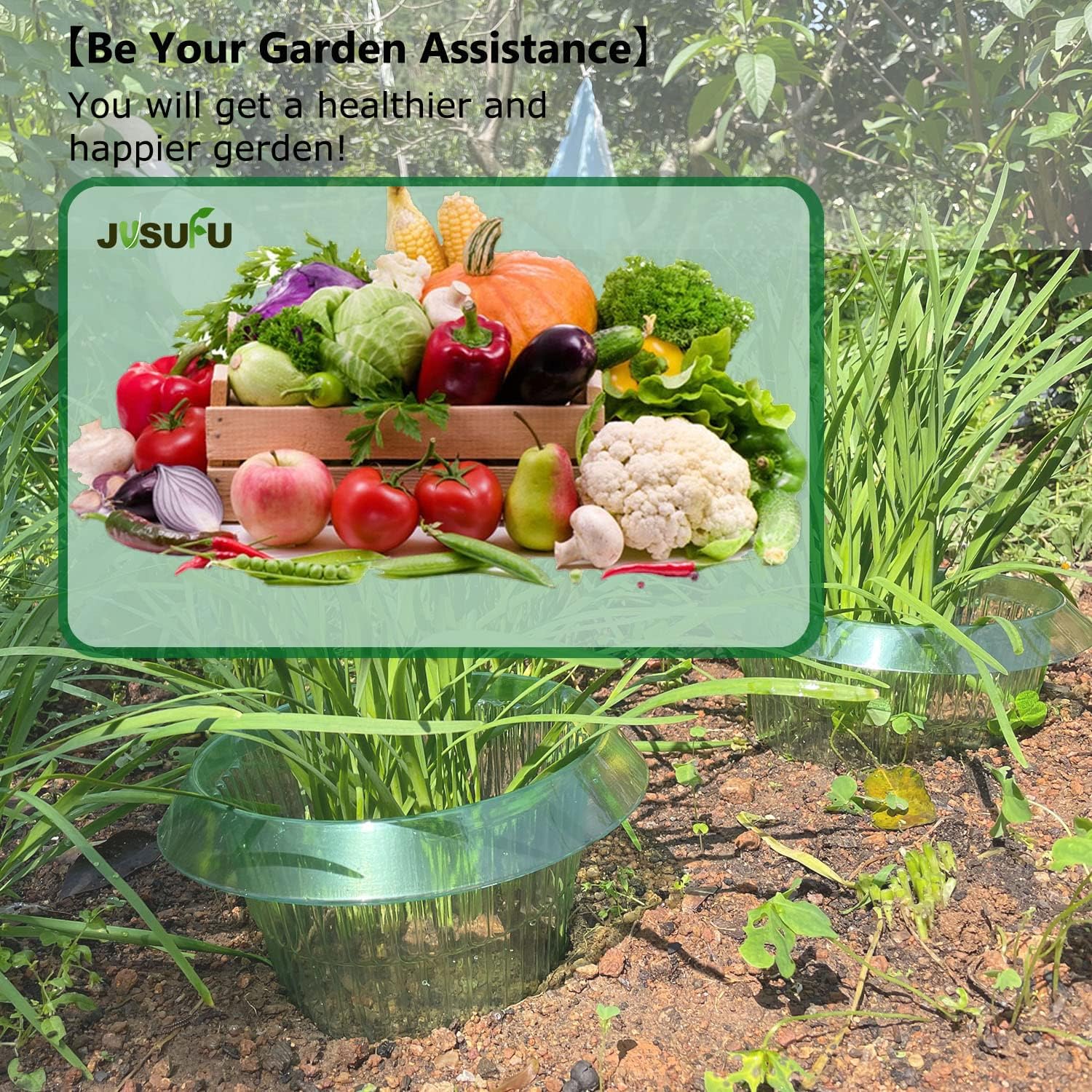 1/30 adet Bitkiler Sümüklüböce - Plant Parents incelemesi ve fiyatı