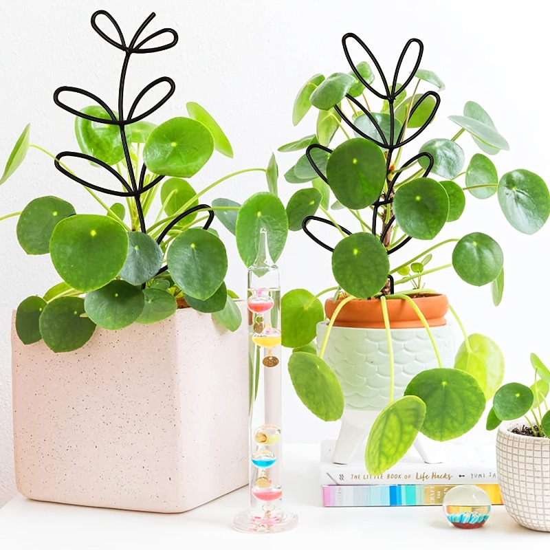 3 adet bitki destek çerçevesi  - Plant Parents incelemesi ve fiyatı