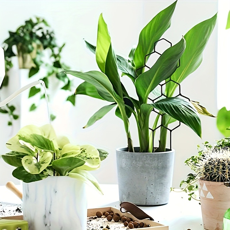 3 adet bitki destek çerçevesi  - Plant Parents incelemesi ve fiyatı