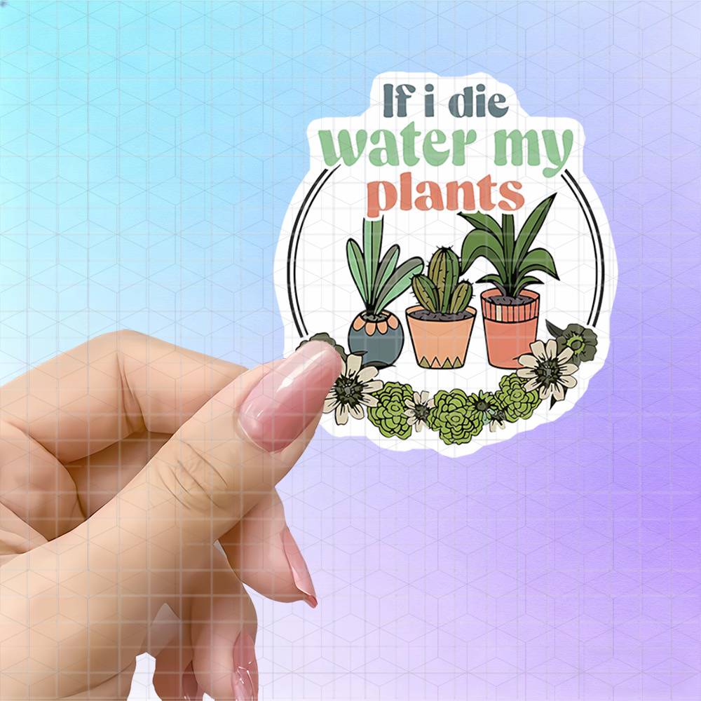 Saksıda Bitkiler, Çiçekli Çele - Plant Parent Pot incelemesi ve fiyatı