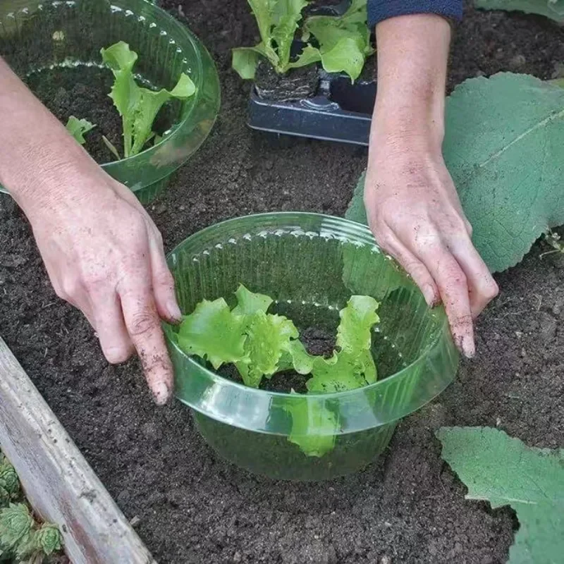Bitkiler Sümüklüböcek Koruma H - Plant Parents incelemesi ve fiyatı