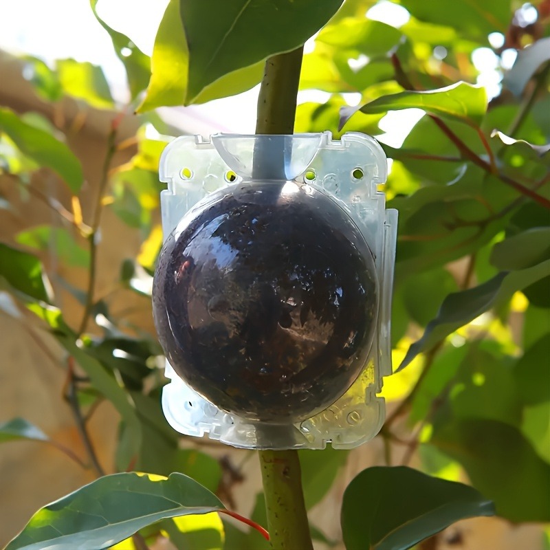 10 Parça Yüksek Basınçlı Bitki - Plant Parents incelemesi ve fiyatı