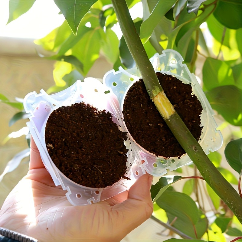 10 Parça Yüksek Basınçlı Bitki - Plant Parents incelemesi ve fiyatı